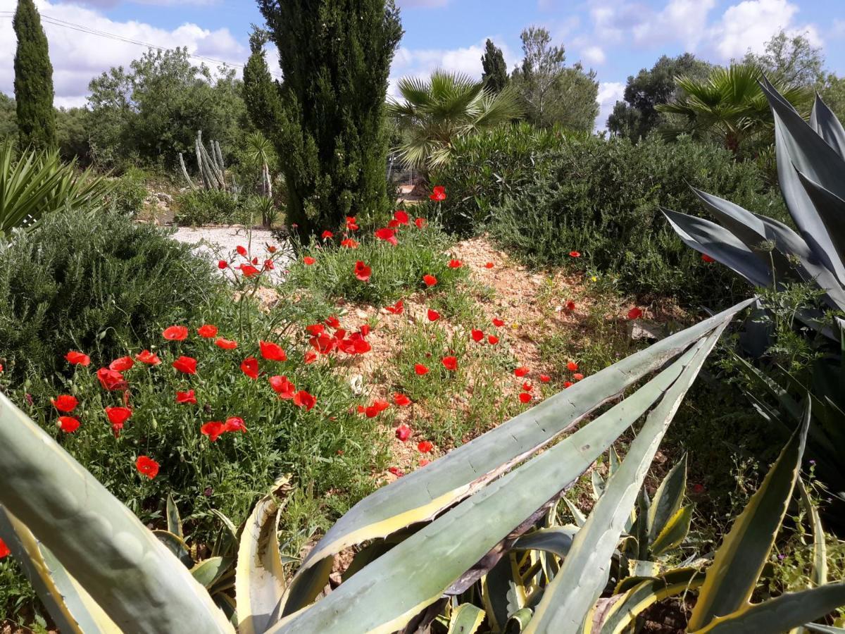 Finca Alqueria Fosca Campos  Extérieur photo