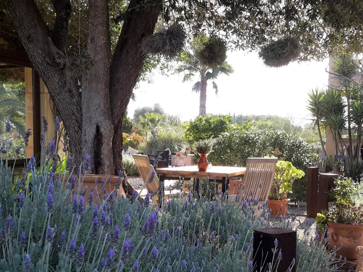 Finca Alqueria Fosca Campos  Extérieur photo
