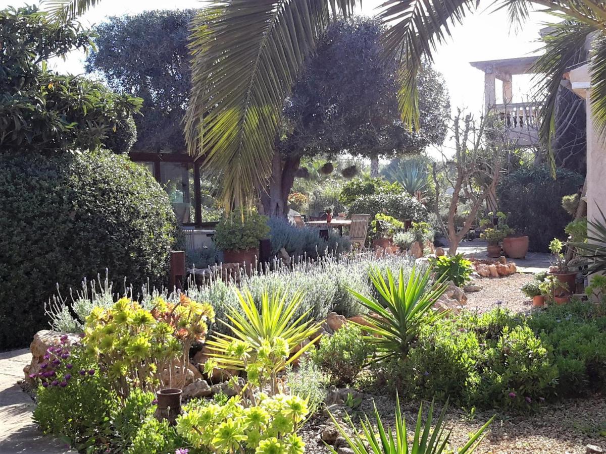 Finca Alqueria Fosca Campos  Extérieur photo
