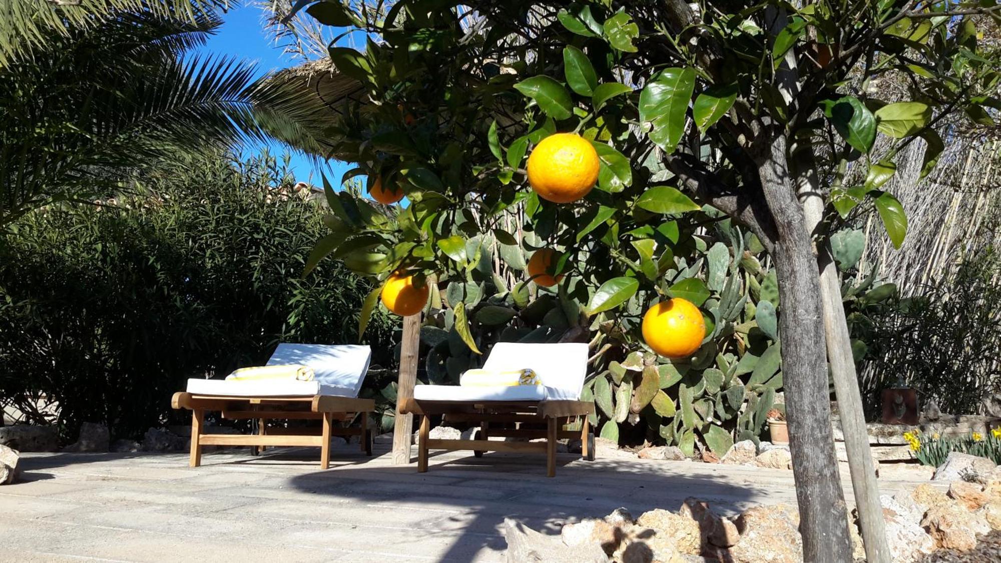 Finca Alqueria Fosca Campos  Extérieur photo