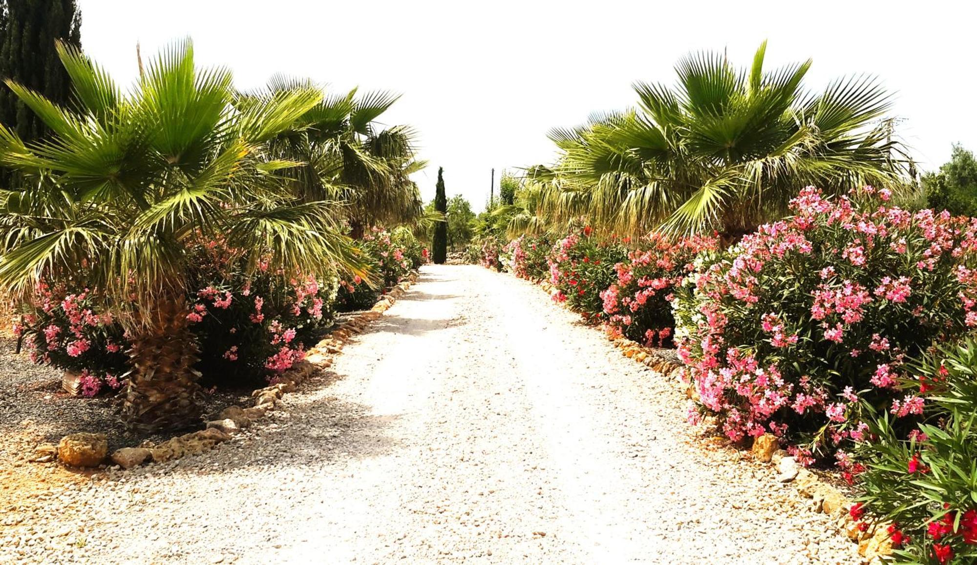 Finca Alqueria Fosca Campos  Extérieur photo