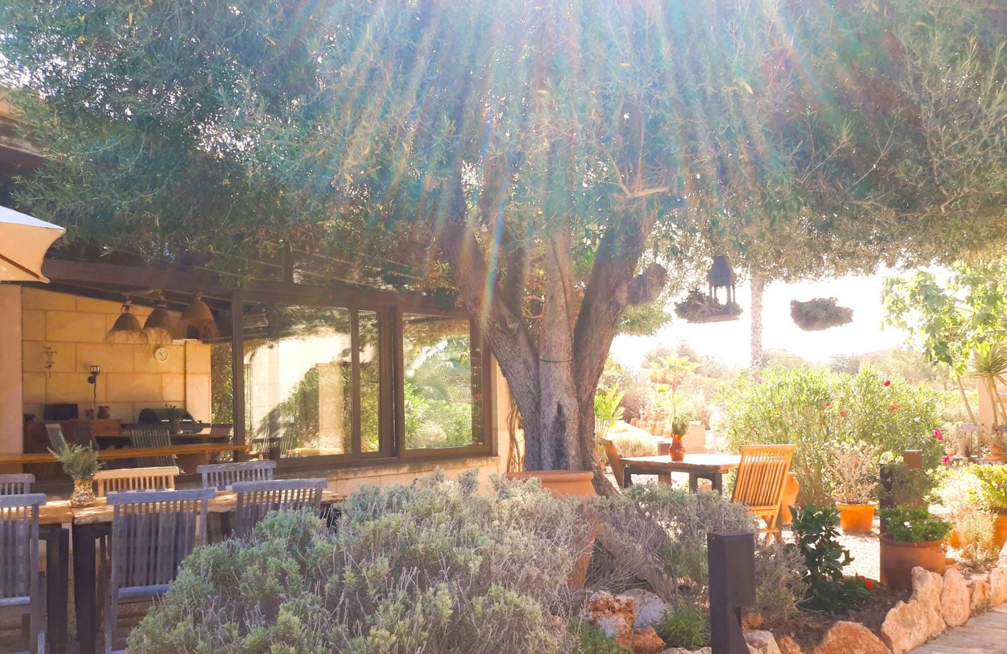 Finca Alqueria Fosca Campos  Extérieur photo
