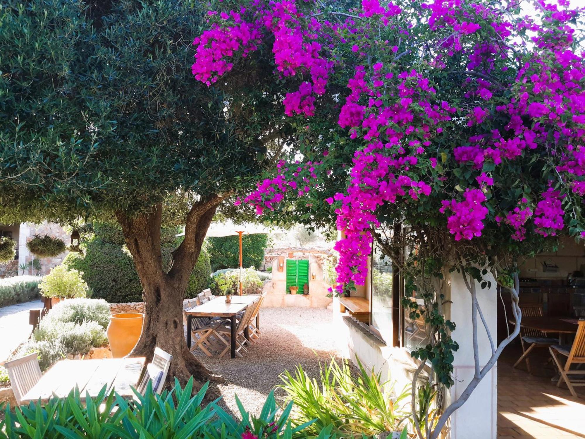 Finca Alqueria Fosca Campos  Extérieur photo